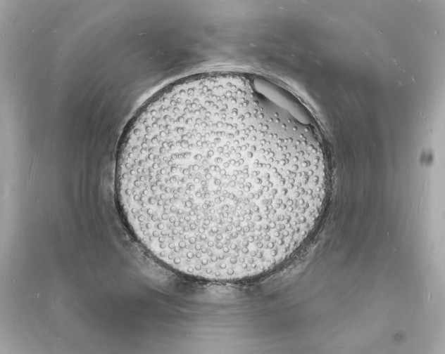 X0000093721220200711131005