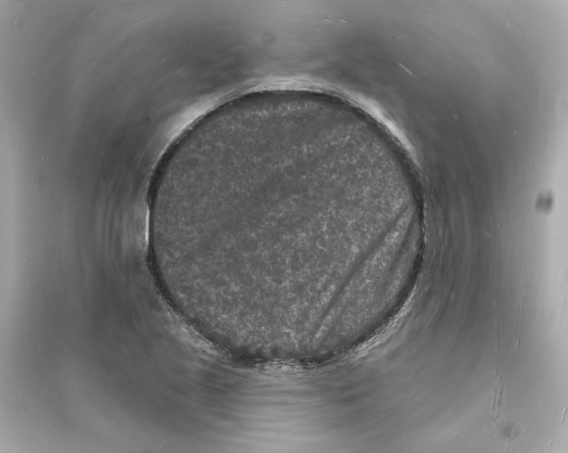 X0000093721221200711131005