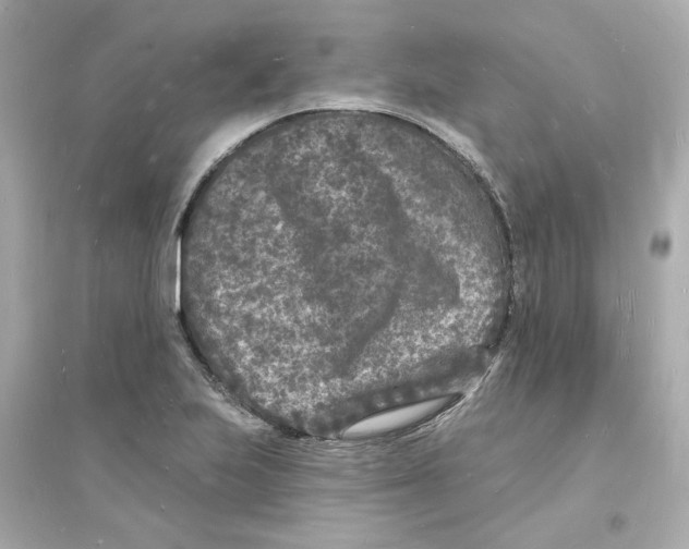 X0000093721223200711131005