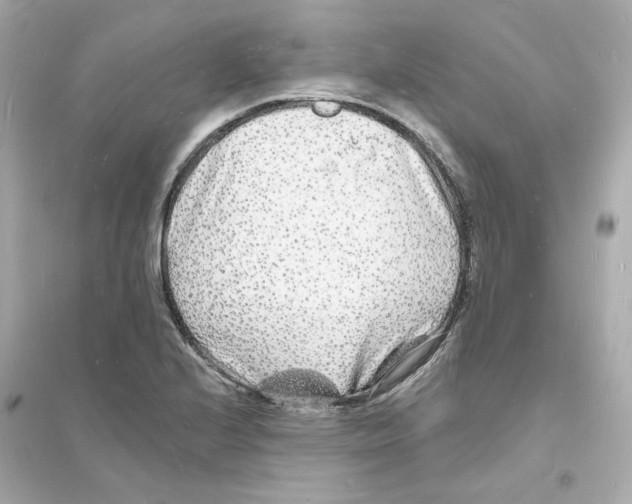 X0000093721224200711131005