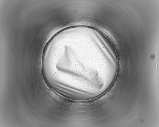 X0000093721228200711131005