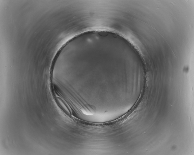 X0000093721229200711131005