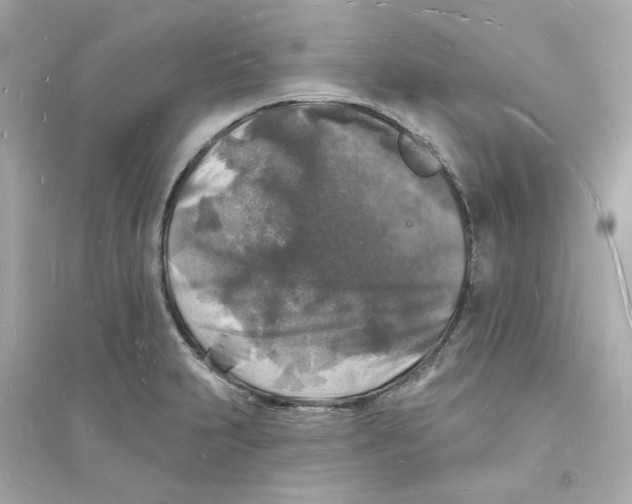 X0000093721231200711131005