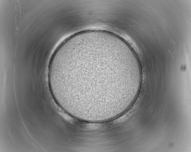 X0000093721232200711131005