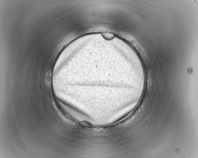 X0000093721233200711131005