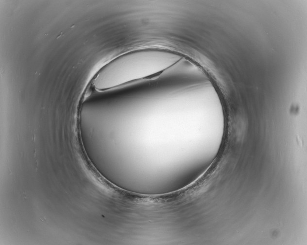 X0000093721234200711131005