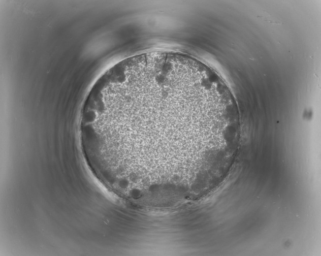 X0000093721235200711131006