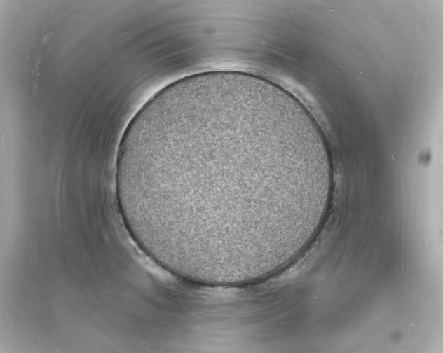 X0000093721236200711131006