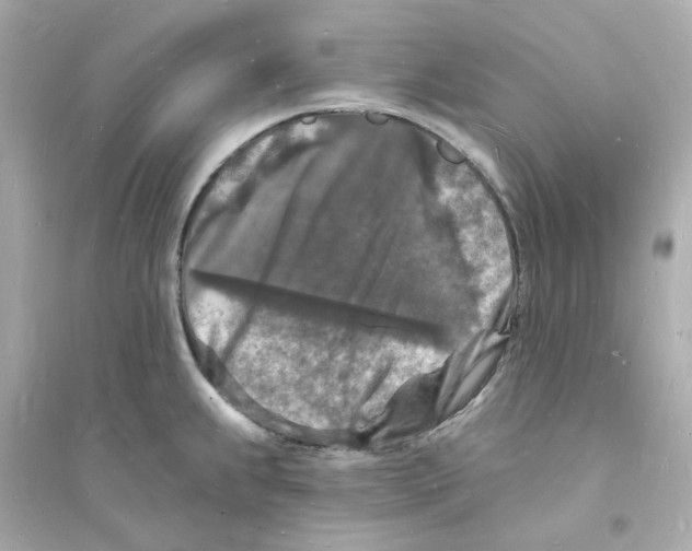 X0000093721239200711131006