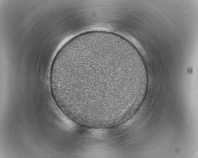 X0000093721240200711131006