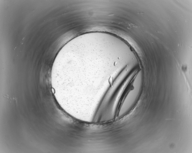 X0000093721241200711131006