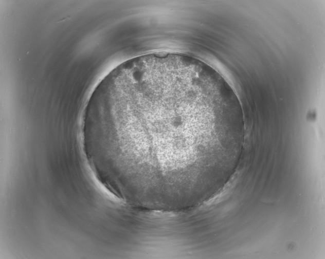 X0000093721243200711131006