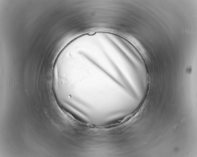 X0000093721244200711131006