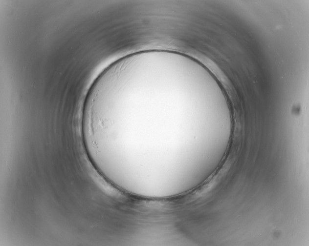 X0000093721246200711131006