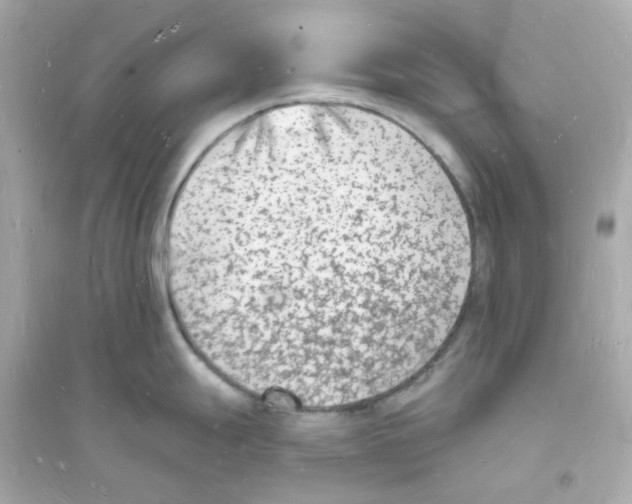 X0000093721247200711131006