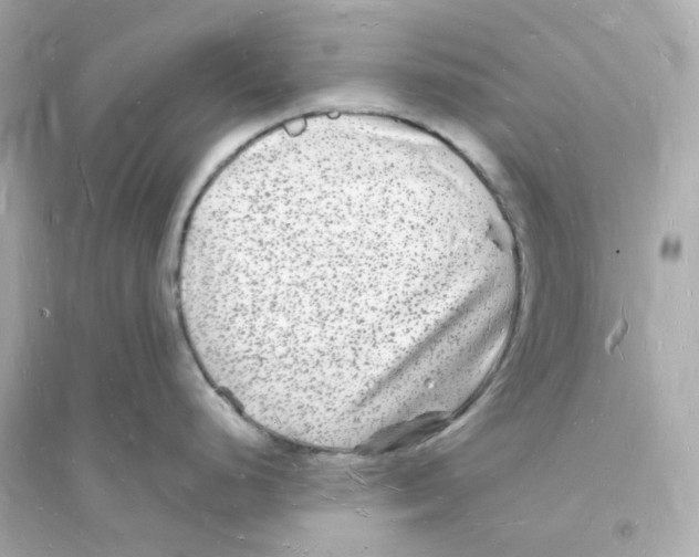 X0000093721248200711131006