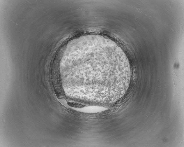 X0000093721249200711131005