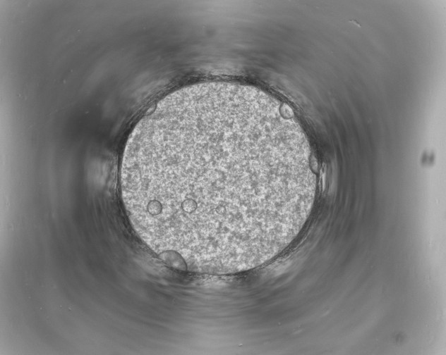 X0000093721251200711131005