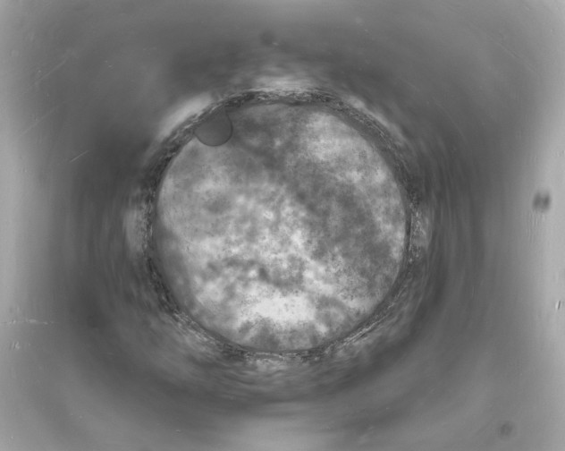 X0000093721254200711131005