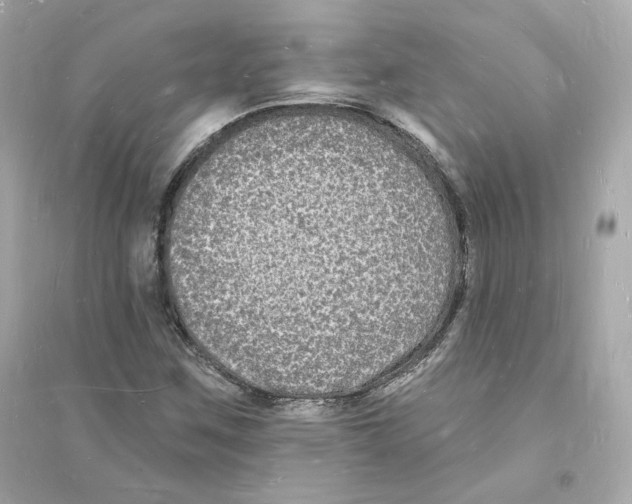 X0000093721259200711131005