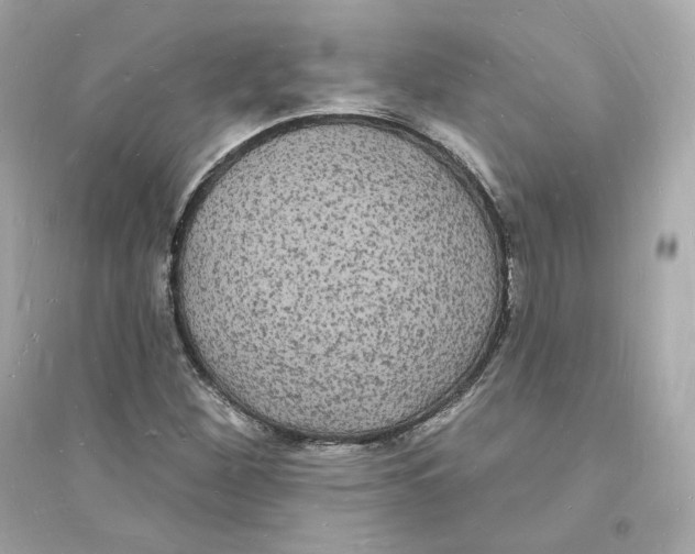 X0000093721260200711131005