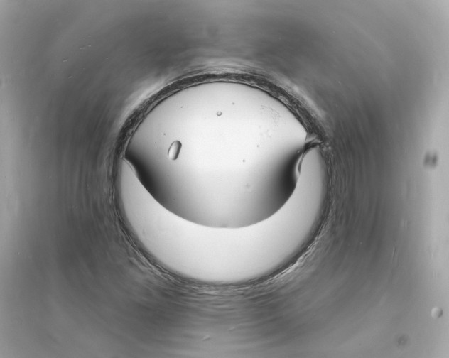 X0000093721261200711131005