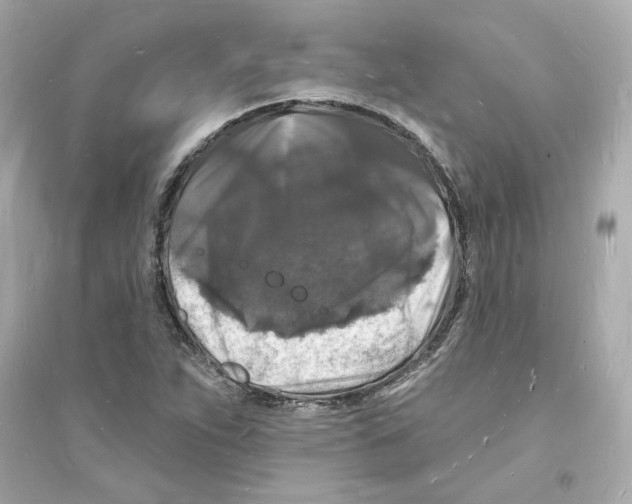 X0000093721263200711131005