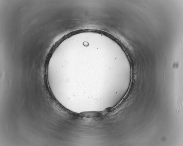 X0000093721264200711131005