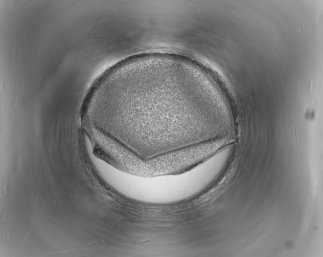 X0000093721267200711131005