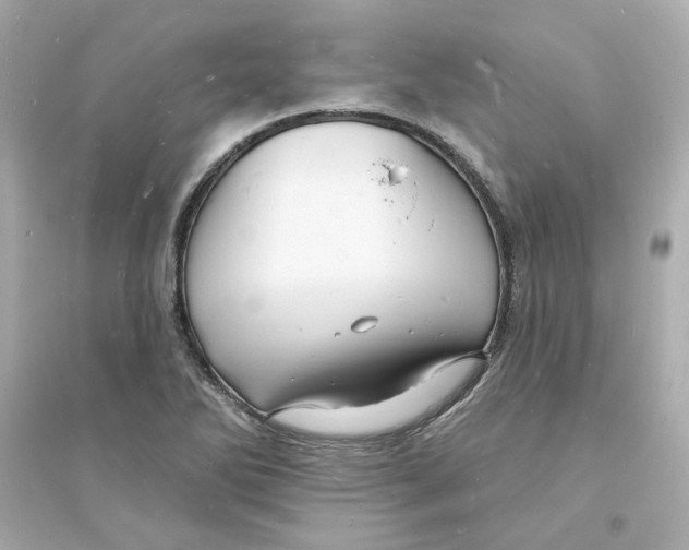 X0000093721270200711131005