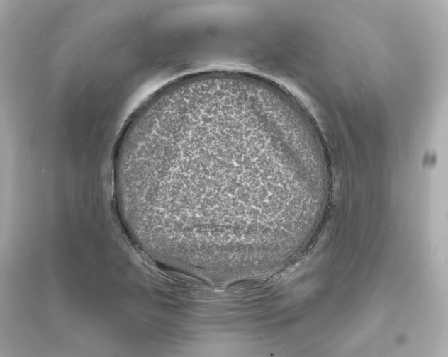 X0000093721271200711131005