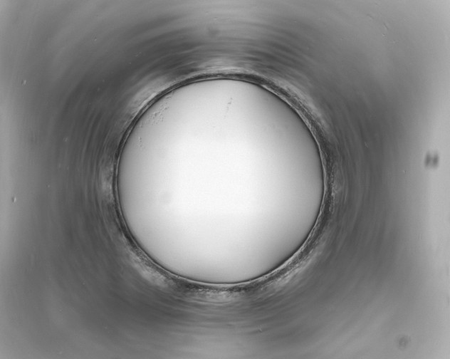 X0000093721273200711131005