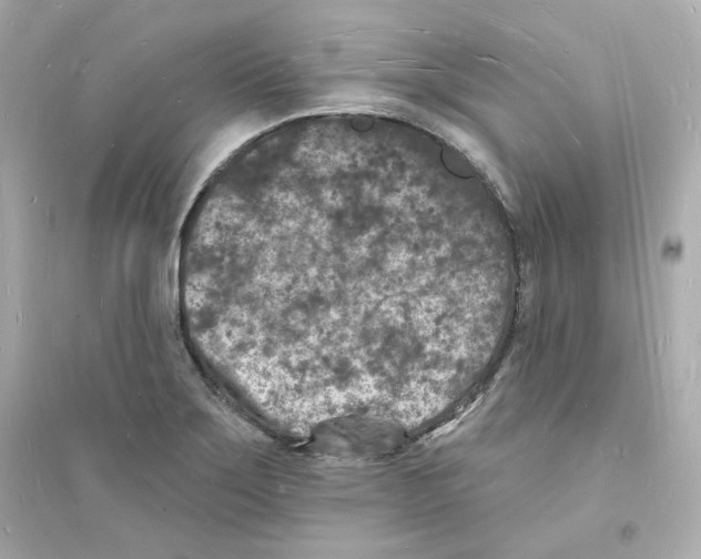 X0000093721275200711131005