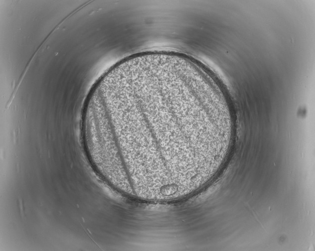 X0000093721277200711131005