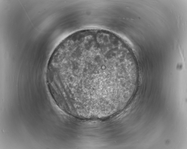 X0000093721279200711131005