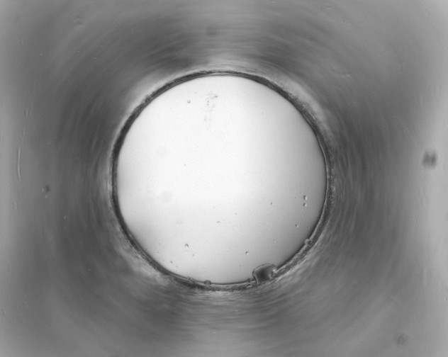 X0000093721280200711131005