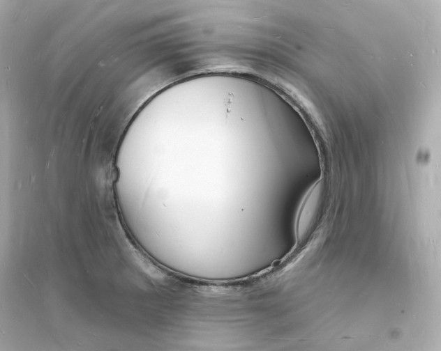 X0000093721281200711131005