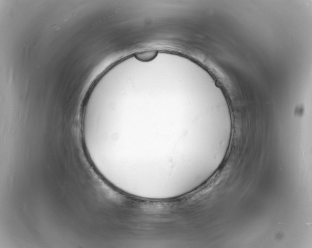 X0000093721286200711131005