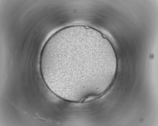 X0000093721288200711131004