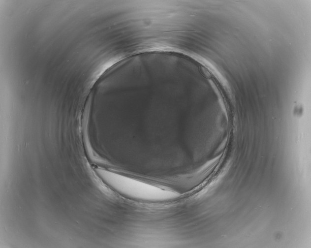 X0000093721289200711131004