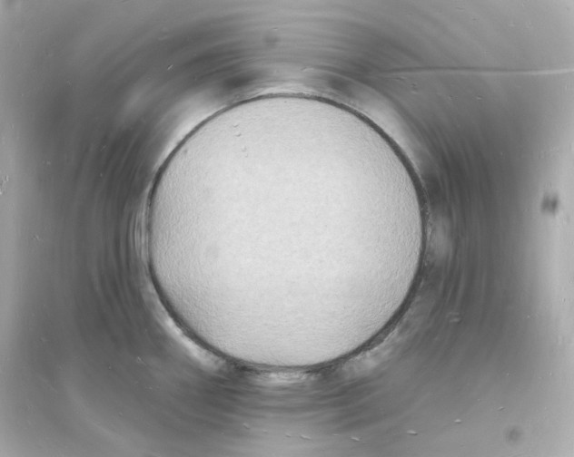 X0000093721290200711131004