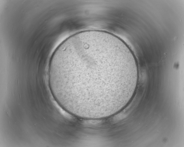 X0000093721294200711131004