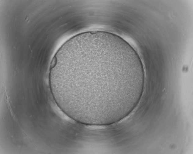 X0000093721296200711131004