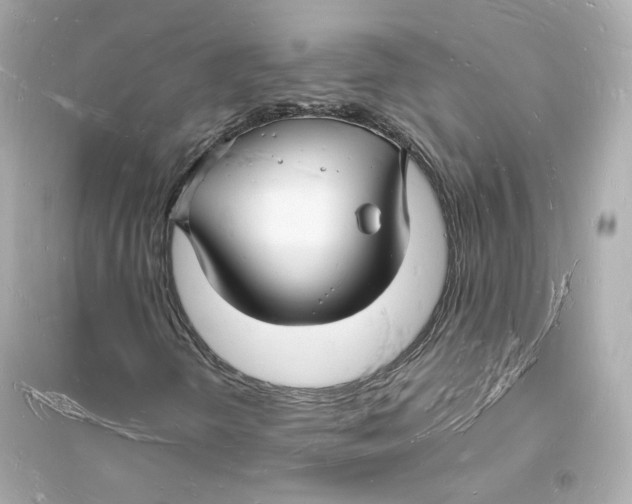 X0000093721298200711131004