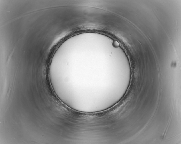 X0000093721309200711131004