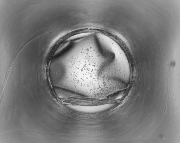 X0000093721310200711131004