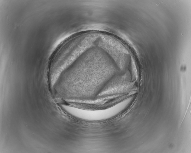 X0000093721312200711131004