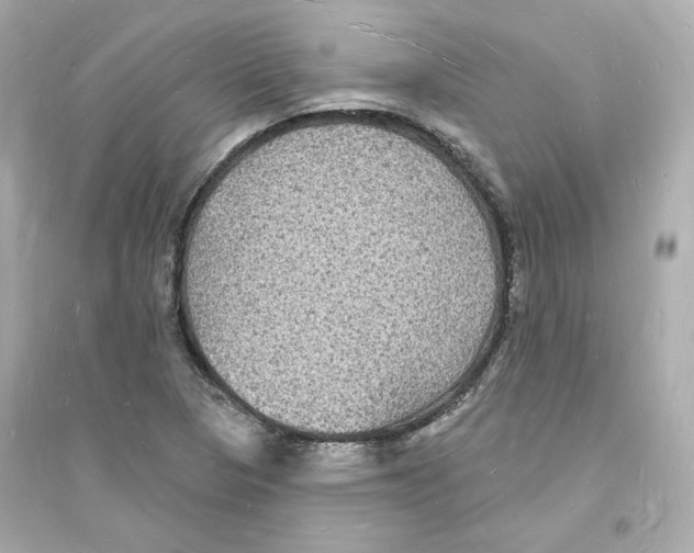 X0000093721313200711131004