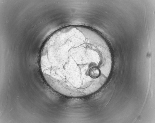 X0000093721314200711131004