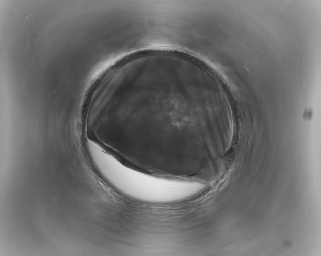 X0000093721319200711131004